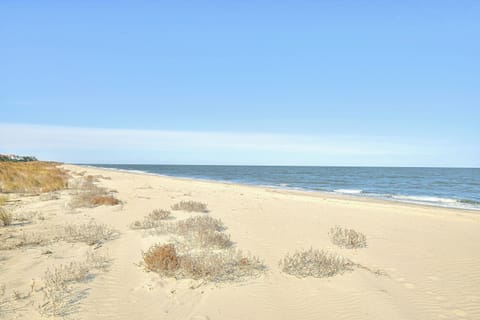 On the beach