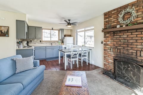 TV, fireplace, books