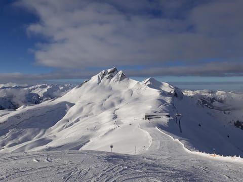 Snow and ski sports