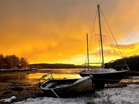 Winters Day | Oystercatcher Cottage, Llangwm, near Haverfordwest