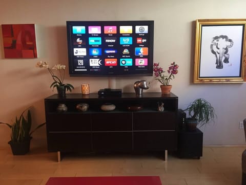 Big screen tv w/ all premium channels & streaming services