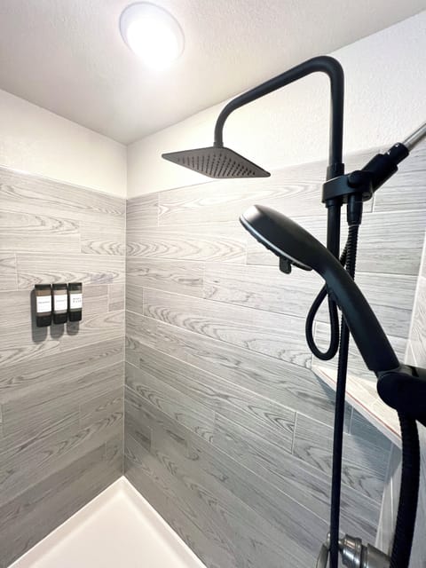 Primary Bathroom's walk in shower