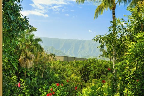 View of NaPali Coastline from Upper Lanai.
