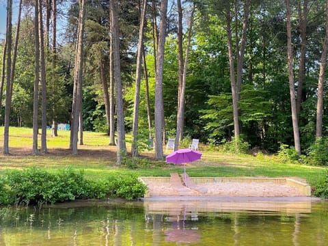 Charming sandy beach area with a purple umbrella nestled by tall trees, offering a peaceful lakeside retreat