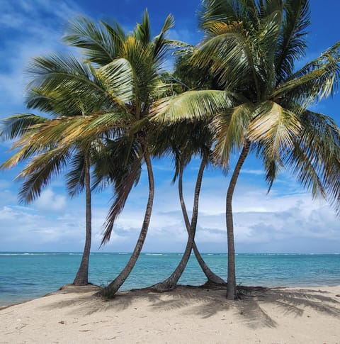 Beach towels