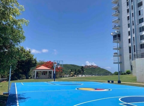 Sport court