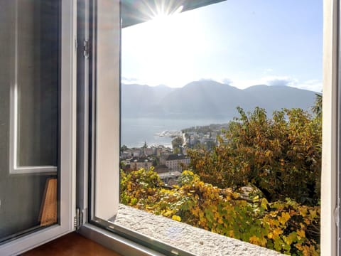 Sky, Property, Window, Building, Leaf, Wood, Interior Design, Shade, Sunlight