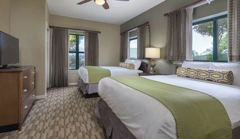 Please note: These are Stock Photos.