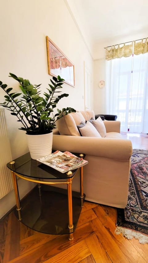 TV, fireplace, books, music library