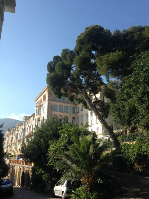 A view of our Riviera Palace