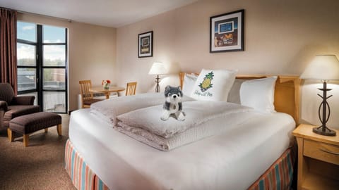 Sink into a cloud-soft bed beside bright city views.