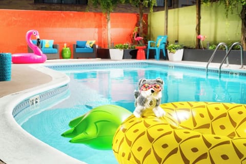 Dive into playful sunshine at our vibrant courtyard pool.