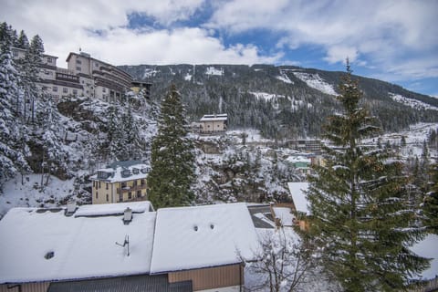 Immediate Surroundings [winter] (&lt;1 km)