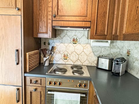 Fridge, oven, dishwasher, cookware/dishes/utensils