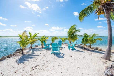 Beach nearby, sun loungers, beach towels