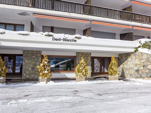 Building, Window, Urban Design, Plant, Facade, City, Event, Freezing, Commercial Building