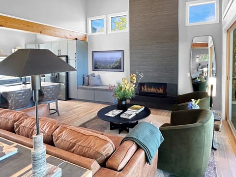 Dragonfly - great room 2