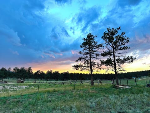 Foto209-7-242C2072015202320PM