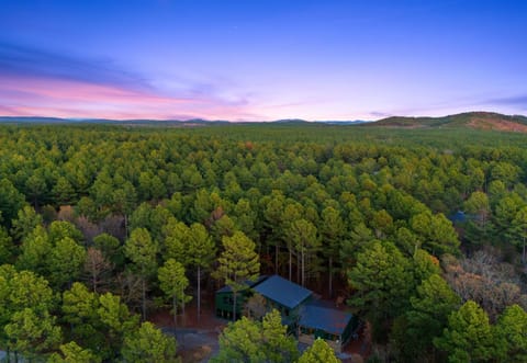 Nestled in the heart of a lush forest, this private retreat offers unmatched tranquility, making it an ideal escape from everyday life.