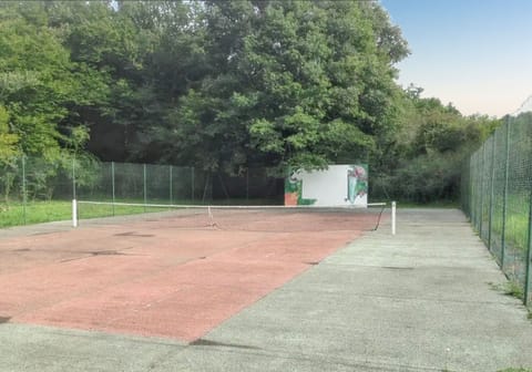 Field (volley/tennis)