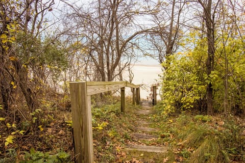Path to the beach