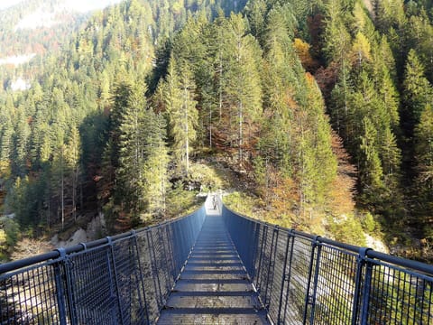 Autumn, Spring, Summer