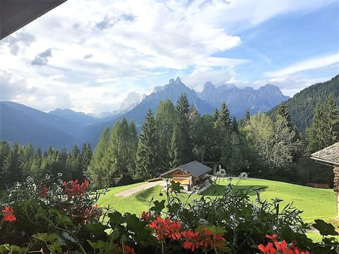 Autumn, Outdoor, Spring, Summer