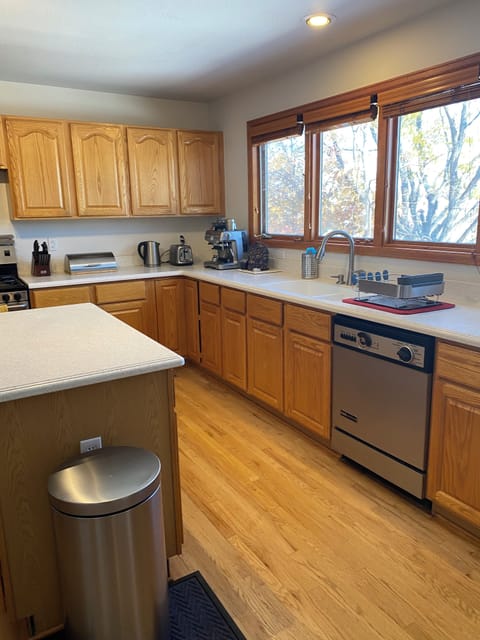 Kitchen sink and dishwasher