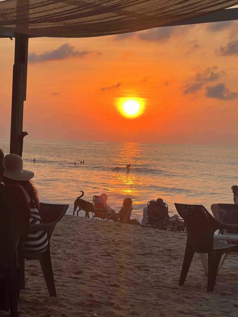 Sun loungers, beach towels