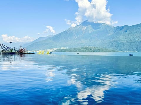 Plant, Sky, Cloud, Building, Window, Land Lot, Interior Design, Urban Design, Residential Area