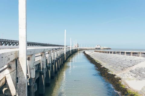 Immediate Surroundings [summer] (&lt;1 km)