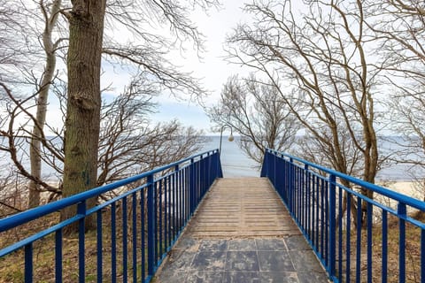 Immediate Surroundings [summer] (<1 km)