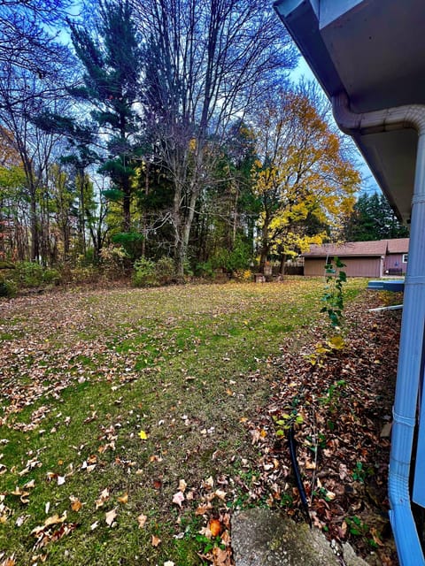View of the backyard. The backyard is very wooded with a grassy portion between the house and the woods for relaxing under the stars.