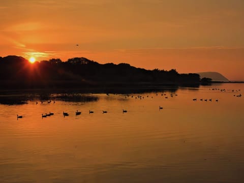 Surrounding area | Rose Villa, Brynhenllan, Dinas Cross, Pembrokeshire