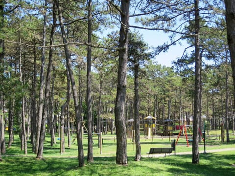 Plant, Natural Landscape, Sky, Tree, Branch, Shade, Sunlight, Vegetation, Trunk, Land Lot