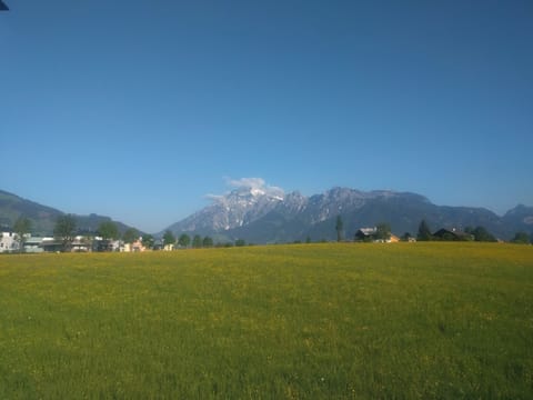 Surroundings [summer] (1-5 km)