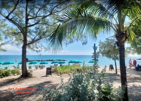 On the beach, sun loungers, beach towels