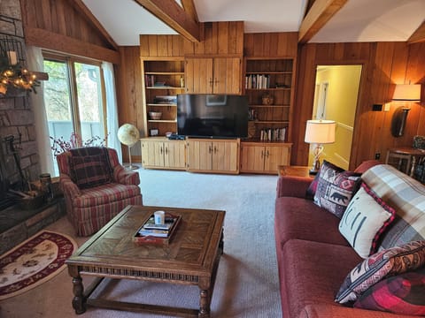 Smart TV, fireplace, books