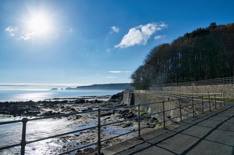 Wisemans House Apartment 3 - Wisemans Bridge (24321)