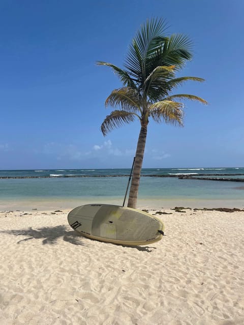 Sun loungers, beach towels