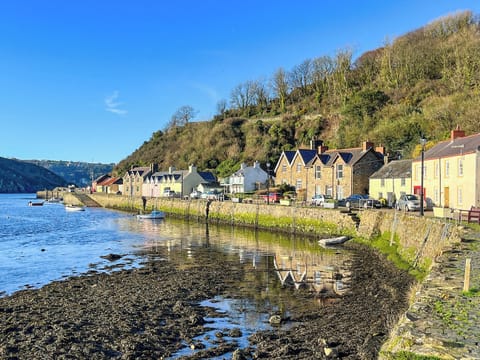 Surrounding area | The Bears Cave, Lower Town