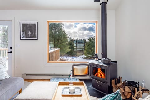 Fireplace, books, computer monitors