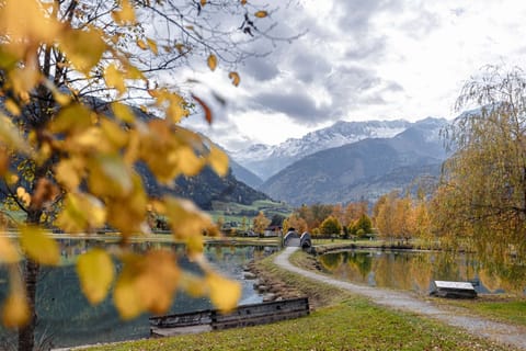 Surroundings [summer] (1-5 km)