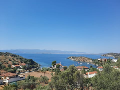 Bird's eye view of the village.