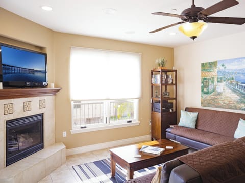 TV, fireplace, books