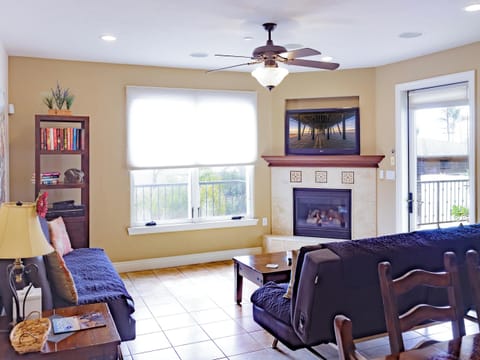 TV, fireplace, books