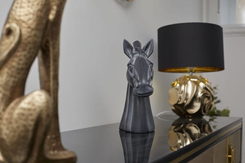 Living Room / Lounge