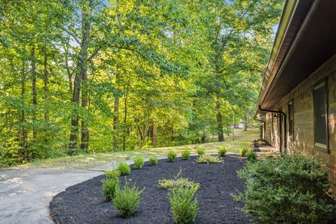 Peaceful wooded surroundings offering privacy and a touch of mountain serenity.