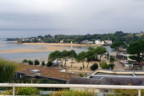 Beach/ocean view