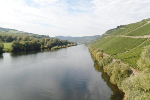 Region [summer] (&gt;5 km)